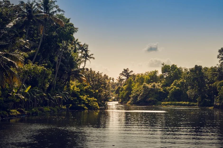 Tranquil river flowing through lush tropical forest in Kottayam, Kerala, India, showcasing nature's serenity.
