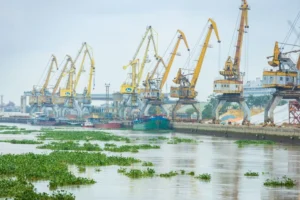 A busy industrial port with large cargo cranes lining the waterway. Vibrant water plants float by.