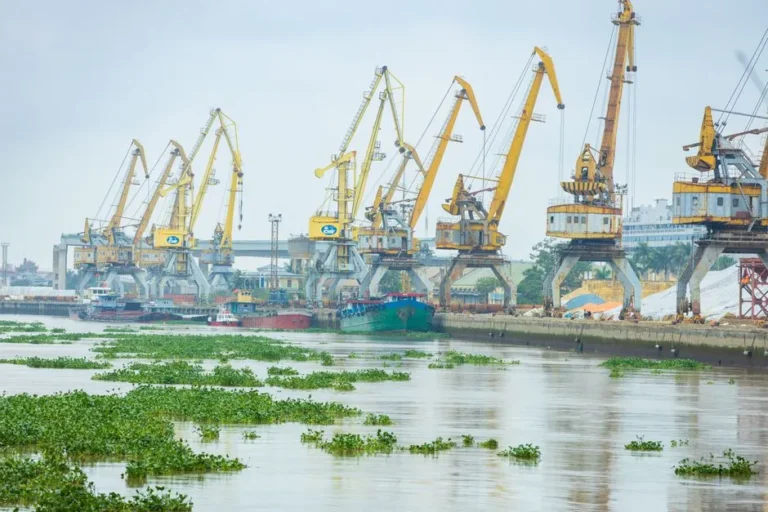 A busy industrial port with large cargo cranes lining the waterway. Vibrant water plants float by.
