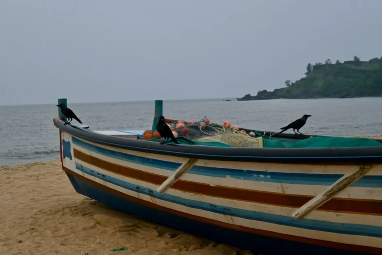 കേരള തീരത്തെ മത്സ്യബന്ധന ബോട്ടുകൾ