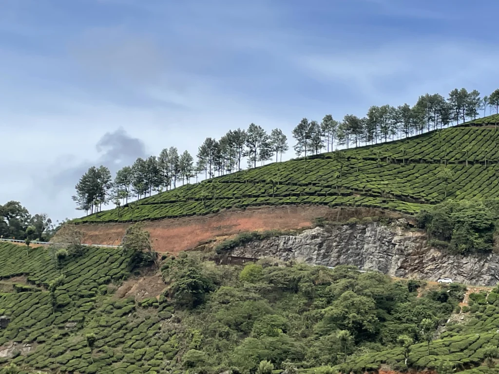 പശ്ചിമഘട്ട മലനിരകളിലൂടെ കടന്നുപോകുന്ന കേരളത്തിലെ മലയോര ഹൈവേ