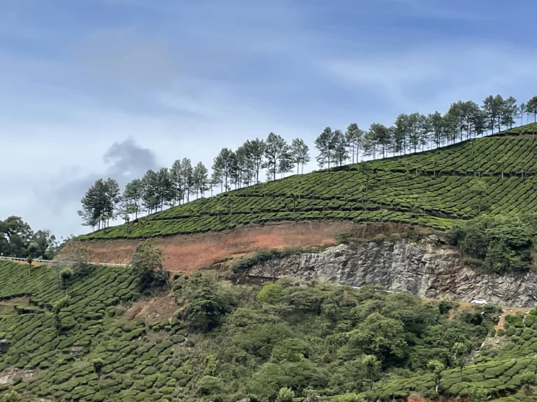 പശ്ചിമഘട്ട മലനിരകളിലൂടെ കടന്നുപോകുന്ന കേരളത്തിലെ മലയോര ഹൈവേ