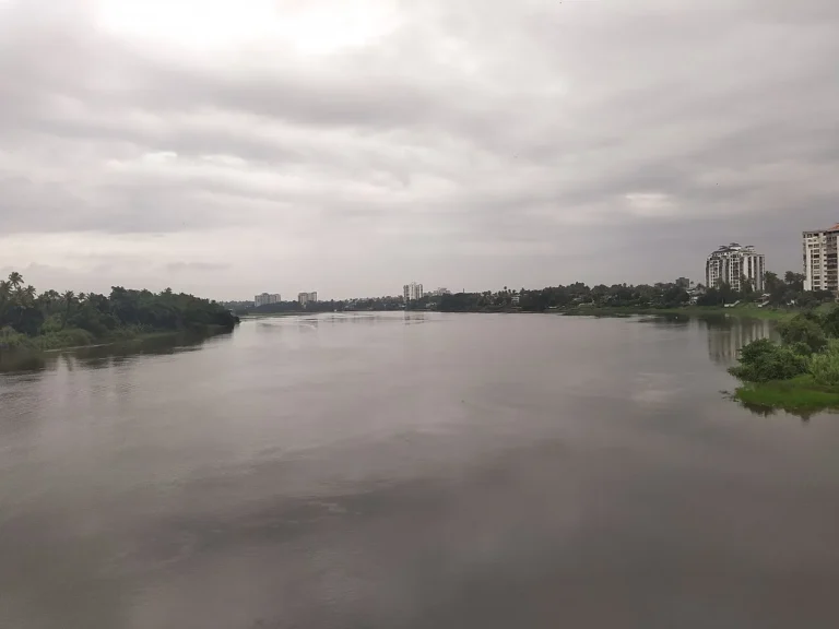 പെരിയാർ നദിയുടെ ദൃശ്യം